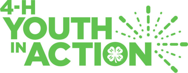 4-H Youth in Action logo