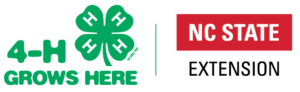 4-H clover logo image