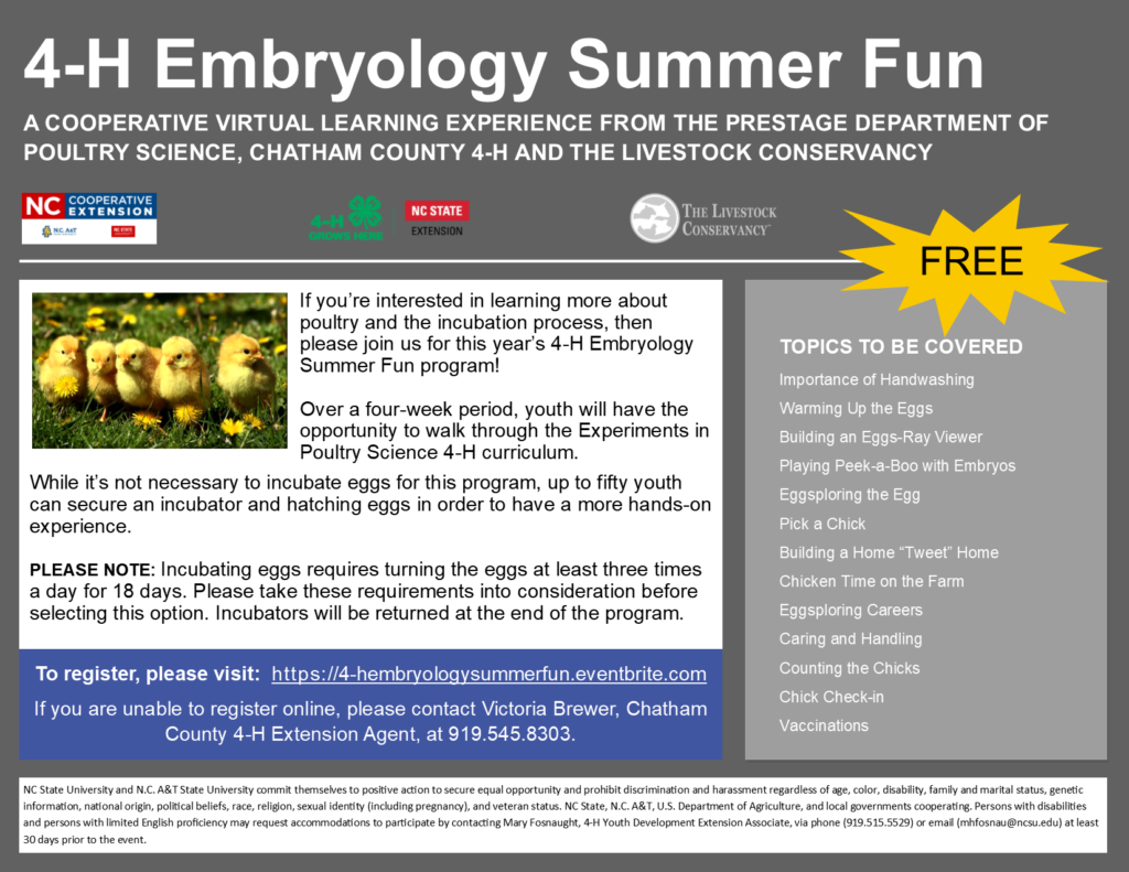 4-H Embryology Summer Fun graphic flyer