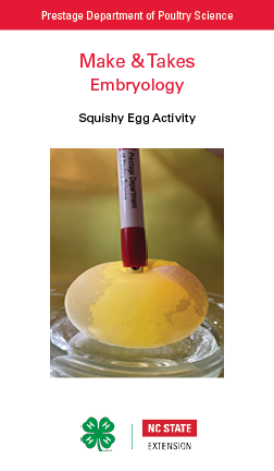 Squishy Egg Make and Take Card