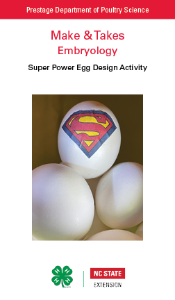 Super Power Egg Design Make and Take Card