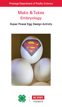 Embryology – Super Power Egg Design Activity