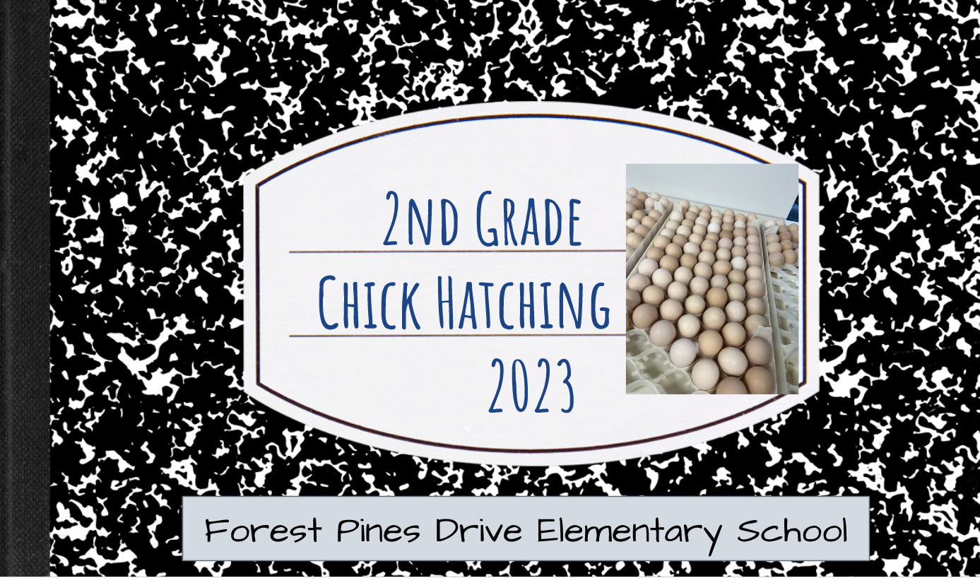  picture of chick hatching journal