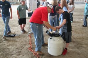 Cover photo for Livestock Judging & Skillathon Clinic