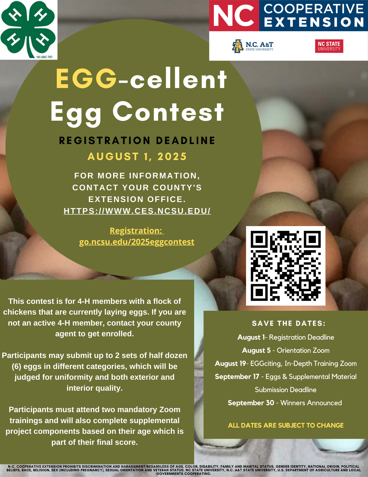 egg contest information