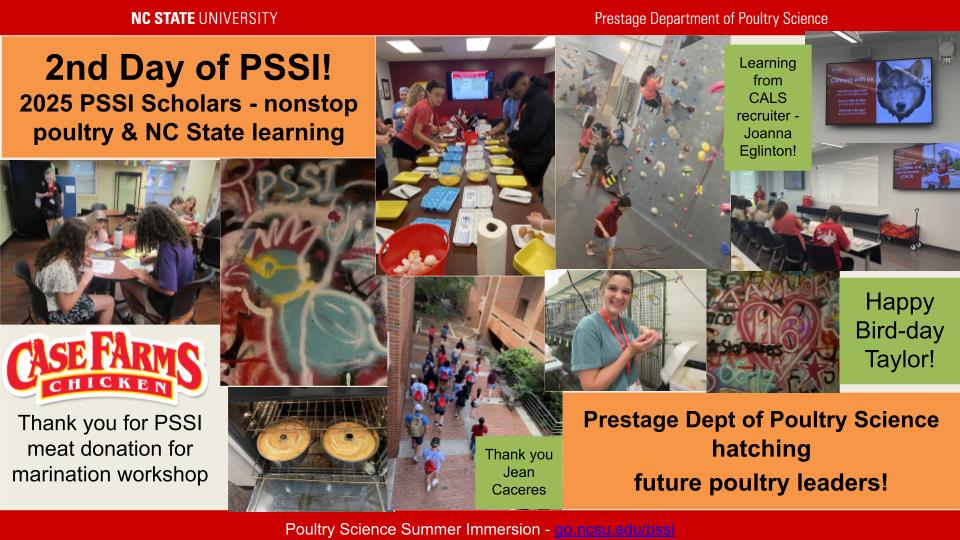 day 2 of pssi 